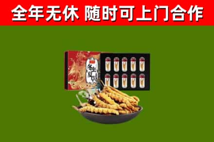 望奎县回收冬虫夏草价格